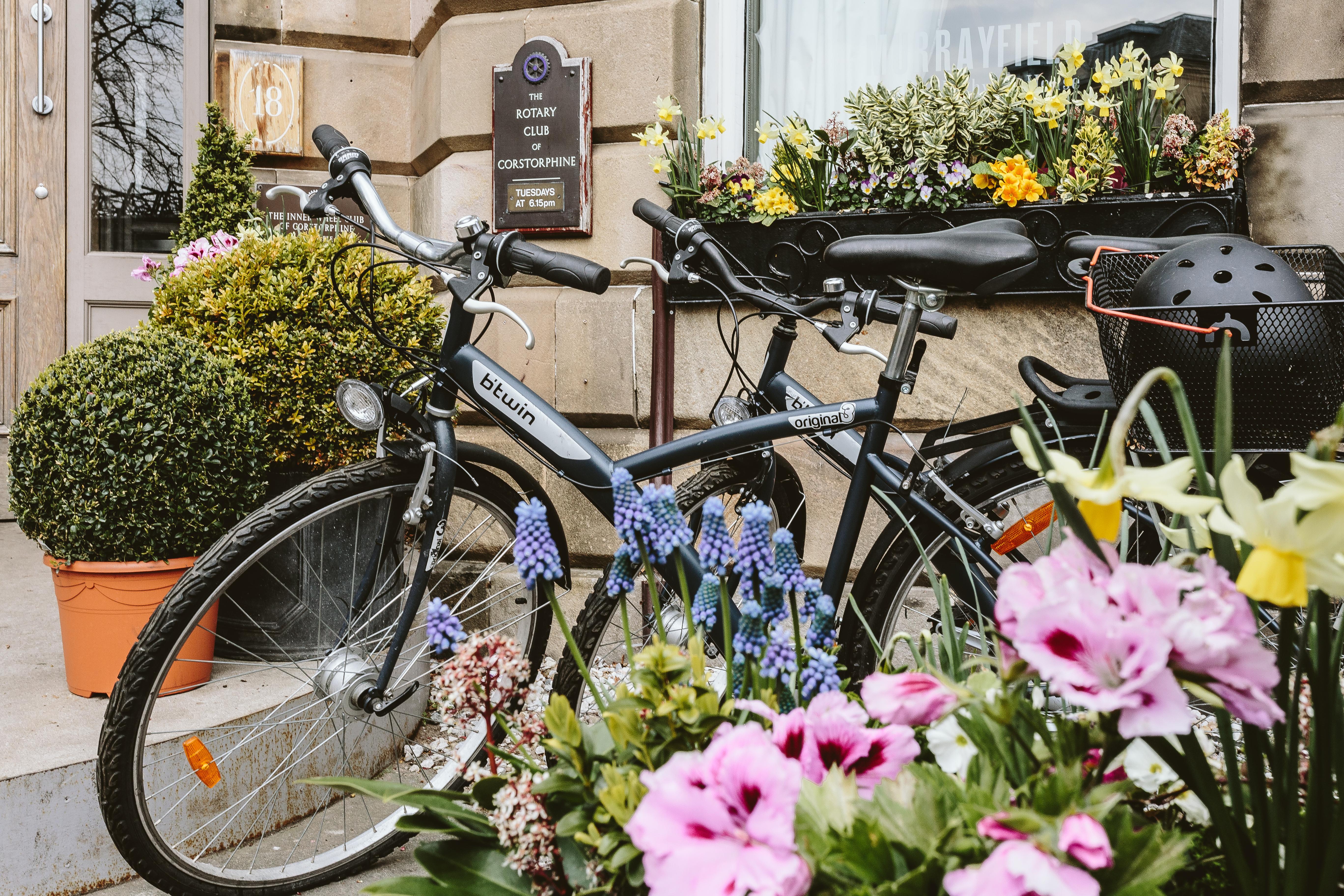 Murrayfield Hotel — Photos 1